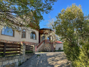 Luxury Wooden Villa